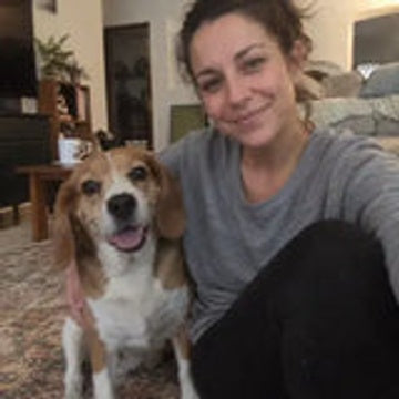 Dog parent sitting at home with a beagle