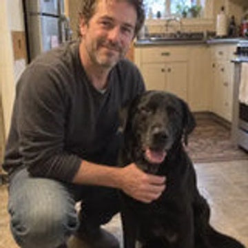 Dog parent in a kitchen with a black Labrador